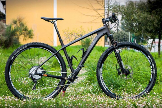 ktm myroon carbon 29