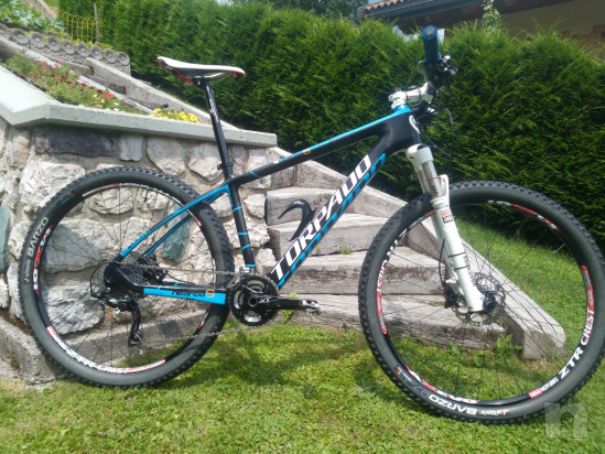 torpado nearco 27.5